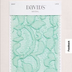 David’s Bridal - Lace and Mesh Long Strapless Dress in Mint